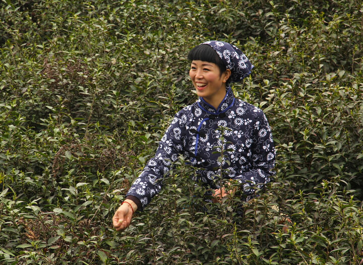 84间房主播跳舞 子弹玫瑰